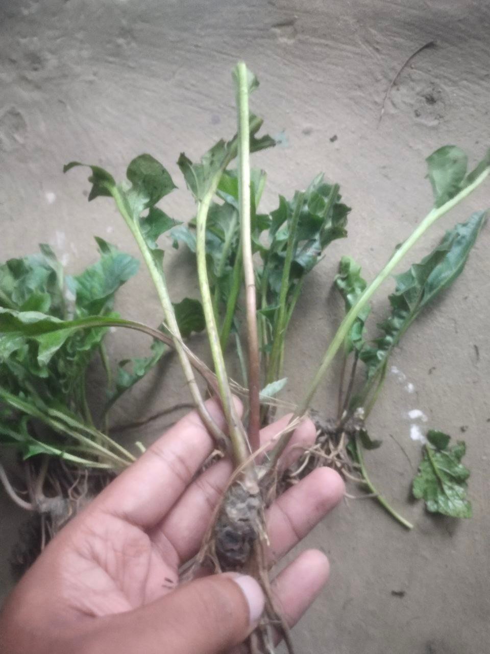 photo_2025-08-14_00-02-14