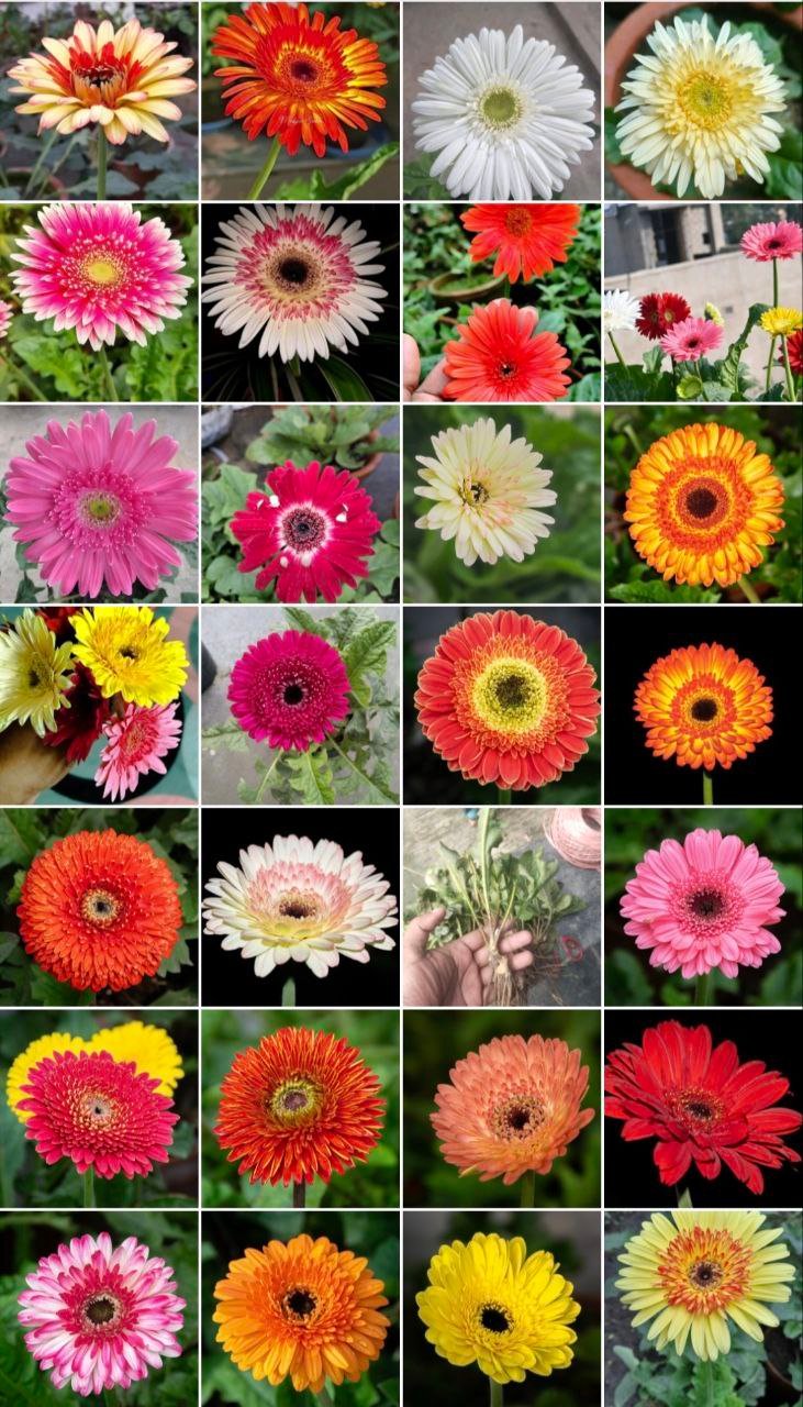 photo_2025-08-14_00-02-30